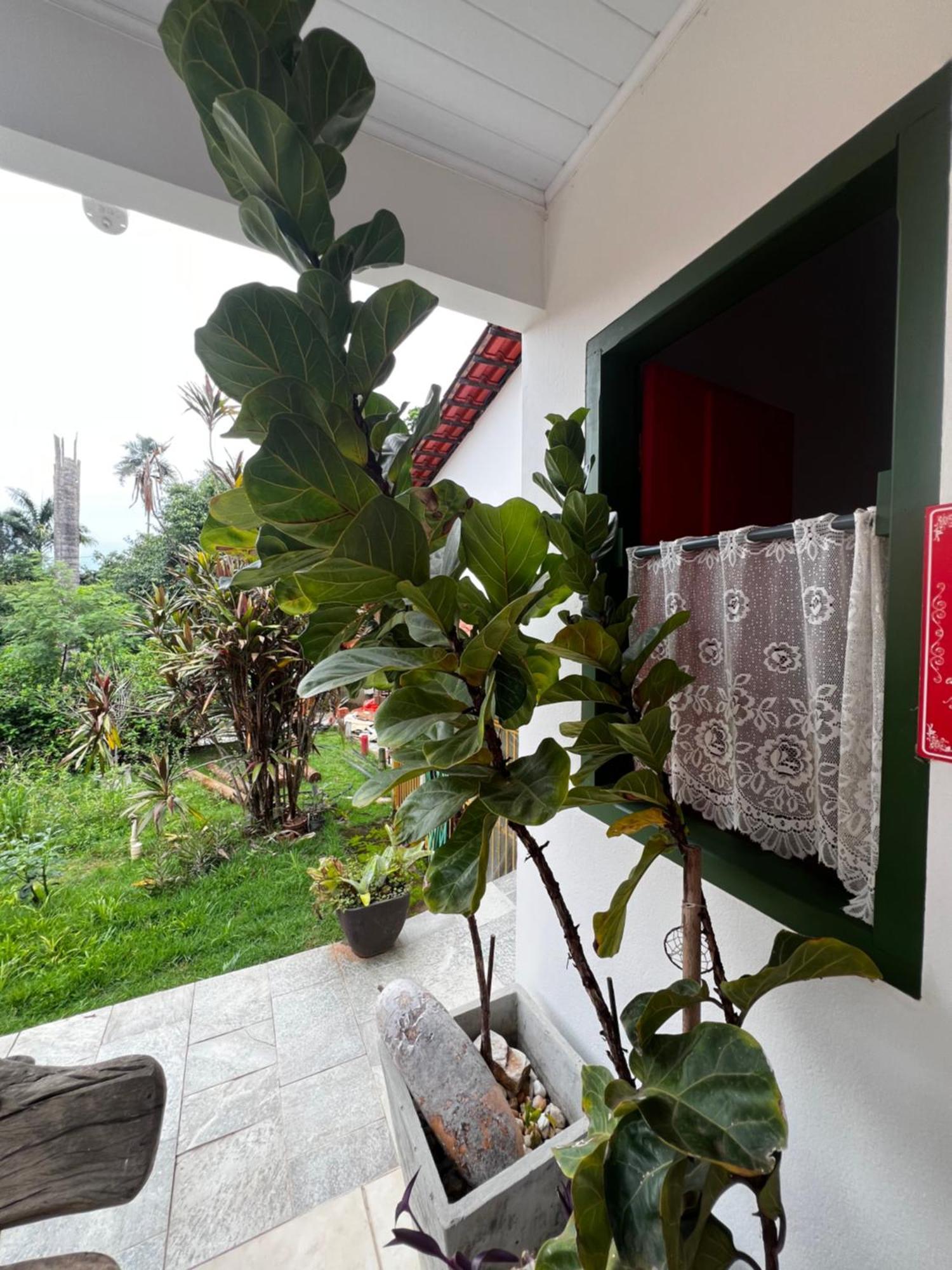Toca Do Lobo Hotell Pirenópolis Eksteriør bilde